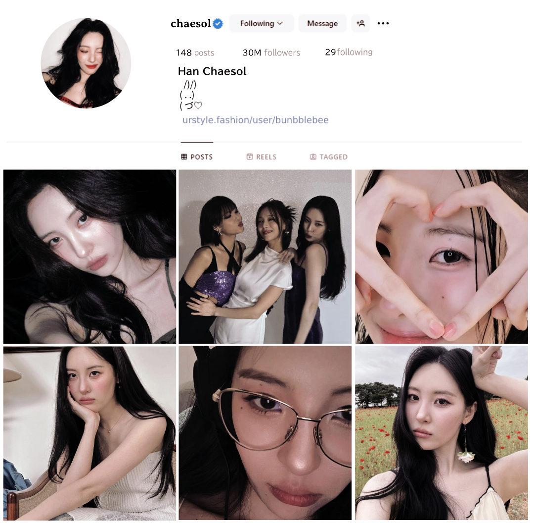 0_1728482303297_Chaesol-InstaProBee.png