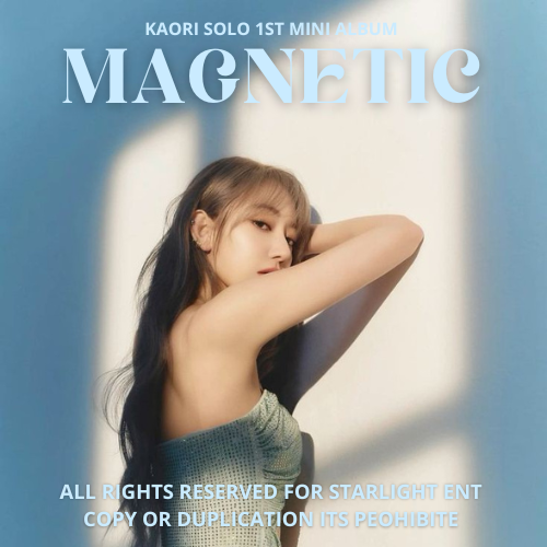 0_1735441215178_MAGNETIC.png