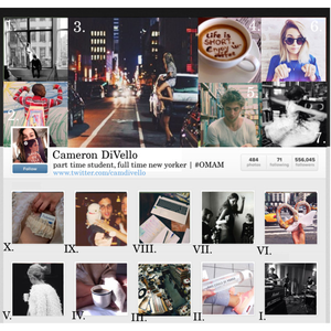 FALL 2014 INSTA / PROJECT #10