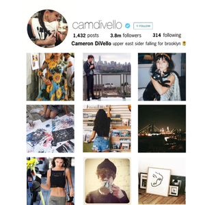 Cameron DiVello's 2016 Insta Highlights