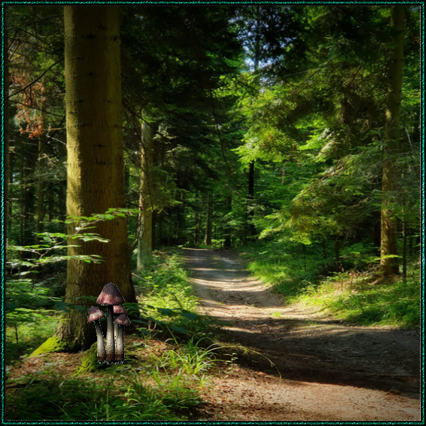 I find it strange that no one ever investigated how does a father have